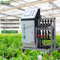 智能水肥一体机 新疆乡村振兴设施农业温室蔬菜改造提升施肥机
